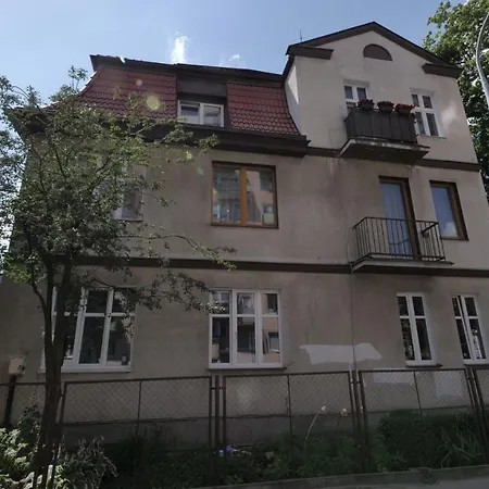 Cozy - Filis Wrzeszcz